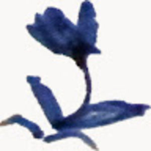 Meet your Posher, Mina